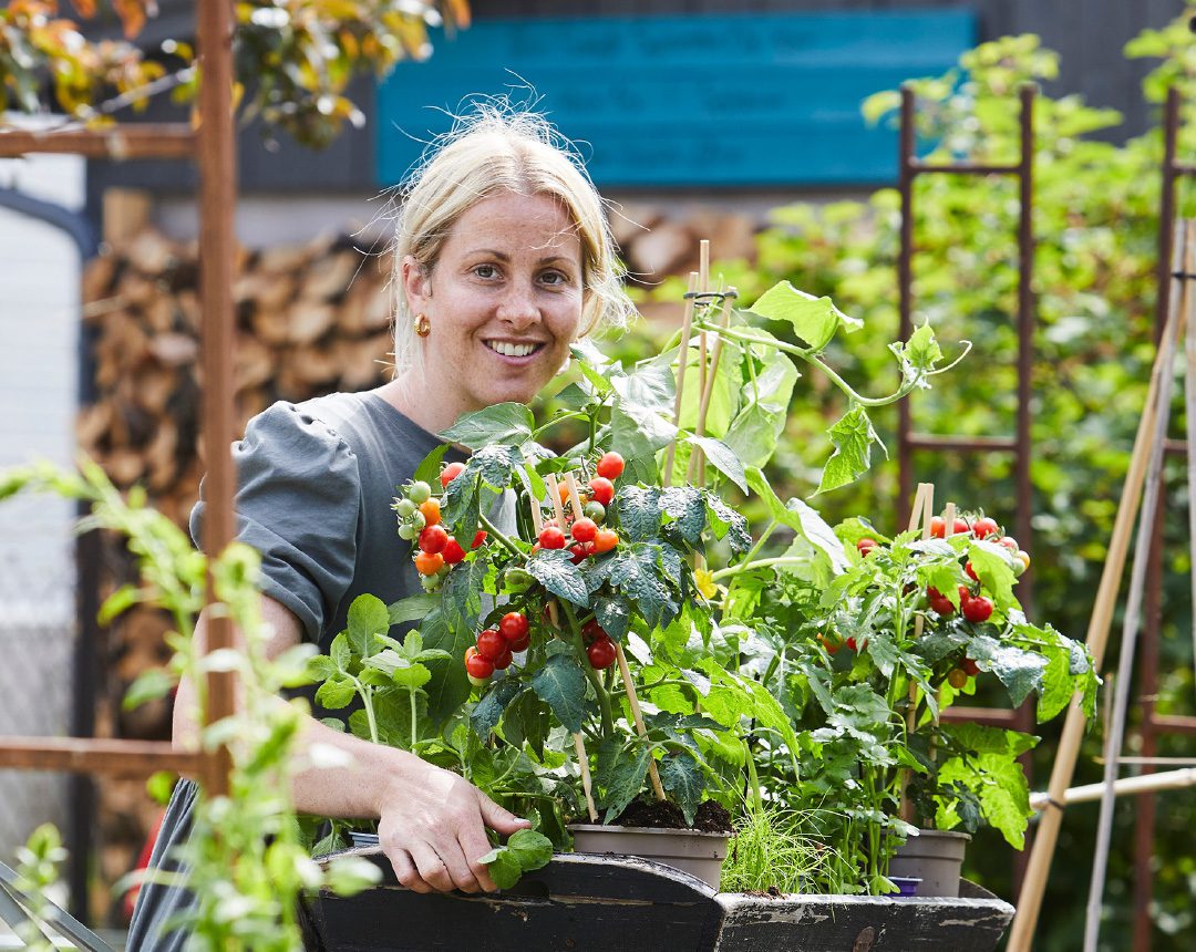 Hageland_Case_image2