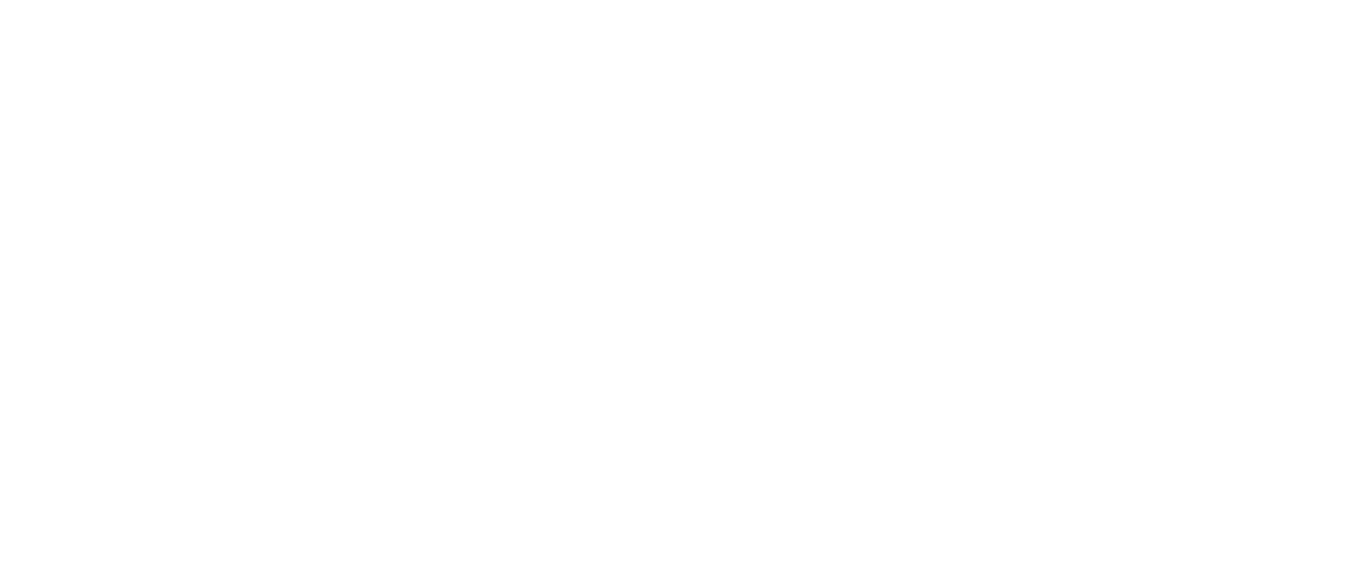 Nordic Nest logo white