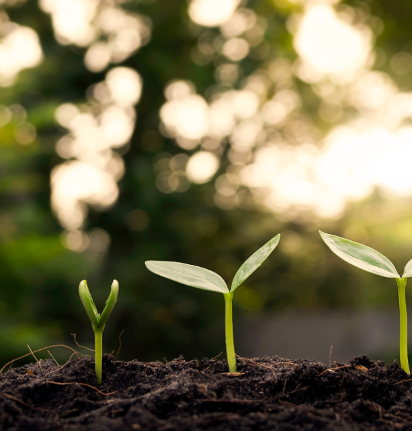 How to build sustainable relationships with your customers